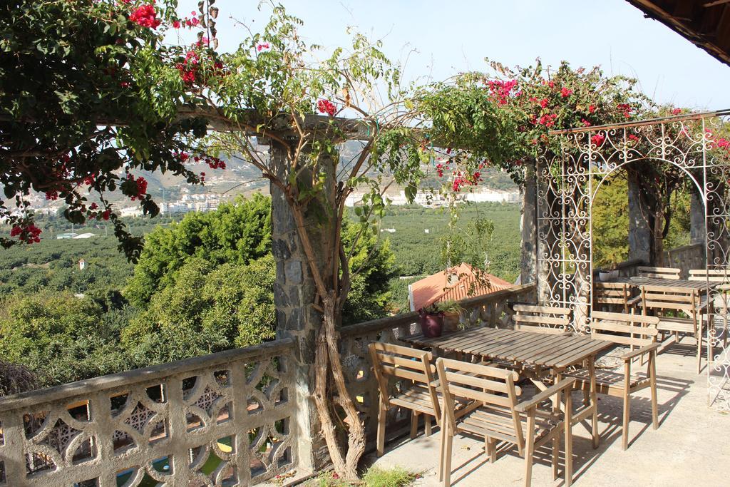 Camping Tropical Almuñécar Szoba fotó